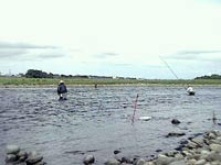 神通川の鮎釣り